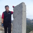 까페능소화 이미지