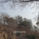 선학근린공원 이미지