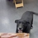 동물병원 앞 이미지