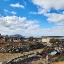 1004섬수석미술관 | [신안 자은도여행]1004섬뮤지엄파크_수석정원과 수석미술관에서 만난 돌의 예술