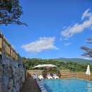 NR-4[태종로]-상-556 | 캠피언카라반: 경주 신상 카라반 추천 / 주현이 생일파티