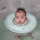 신라복집 | 대전 월평동 "신라복집"