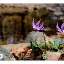 발랑2리 이미지