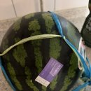 홈플러스(주) 킨텍스점 | [현대식품관] 현대백화점 킨텍스점 수박 구매 후기