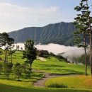 안성베네스트G.C | 서울근교 예쁜 골프장~ 6월에 가기 딱 좋은 시원한 가평베네스트