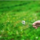 작은풍경 이미지