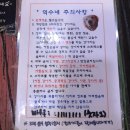 덕수네애견 | 덕수네 애견카페 후기🐶