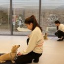 하울팟 케어클럽(분당서현점) 이미지