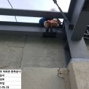 송죽다목적체육관 이미지