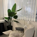 예일음악전문학원 | 회사원도 부담 없이 다닐 수 있는 강남피아노학원 🎹 뮤라벨 성인전문음악학원 후기