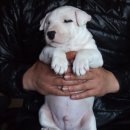 도봉-도봉-2431 이미지