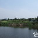 세인트그린