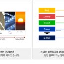 썬조명 이미지