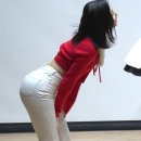 앨리스 핏 이미지