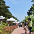 시립박물관 노리숲길 이미지