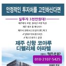 디펠리체 이미지