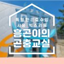 [1cm+]소근육 놀이교실(17시) | 엄마도 재밌는 곤충수업 시흥 곤충체험전시관 벅스리움 흥곤이의 곤충교실