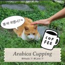 아라비카커핑 이미지