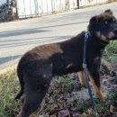 김천연합동물병원 이미지