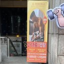 삼성휘트니스 | 삼성역 헬스장 ㅣ리바이벌 피트니스 헬스 &amp; PT 삼성점 후기