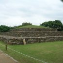 충남대학교 박물관 이미지