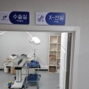 닥터장 동물의료센터 이미지
