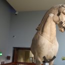 세계 박물관 탐험 이미지