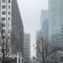 금율로 2 이미지