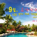 주)해이코카 네이버블로그