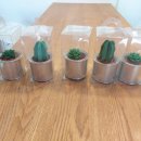 월평주공3단지 이미지