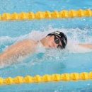 드라코짐 이미지