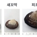 무공해옹기곱창막창구이 이미지