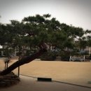 김제중앙초등학교 이미지