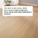 테라화성 이미지