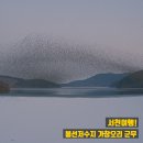 서천 판교 근대역사문화공간 | 충남 서천여행! 봉선저수지 가창오리 군무 <서천 구석구석 스탬프투어>