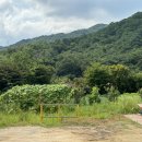 양양입암막국수 이미지