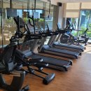 사보이 호텔 이미지