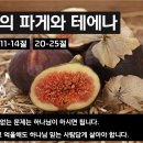 221228 무화과의 파게와 테에나 마가복음11장11-14절,20-25절 이미지