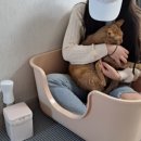 제이엘씨엔티