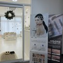 블랑드보떼 이미지