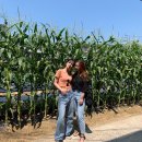 노들강변식당 이미지