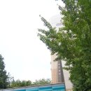 GS25 분당아름점 이미지