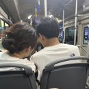 [부산 나이트레이스 인 부산 찐 후기]