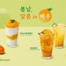 달콤커피제주
