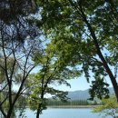 궁말로 | 과천 서울대공원 봄나들이 완벽코스 ㅣ 피크닉 명당, 리프트 이용 후기