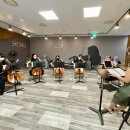 비올라 1:1 개인레슨 이미지