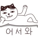 허가네장어