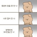로2의 로펌 실무수습 1주일차 후기 겸 일상 나눔 :-)