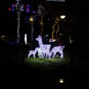 금남로 공원 이미지