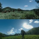 장하로 일원 이미지